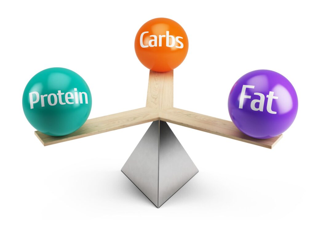macros protein fats carbs