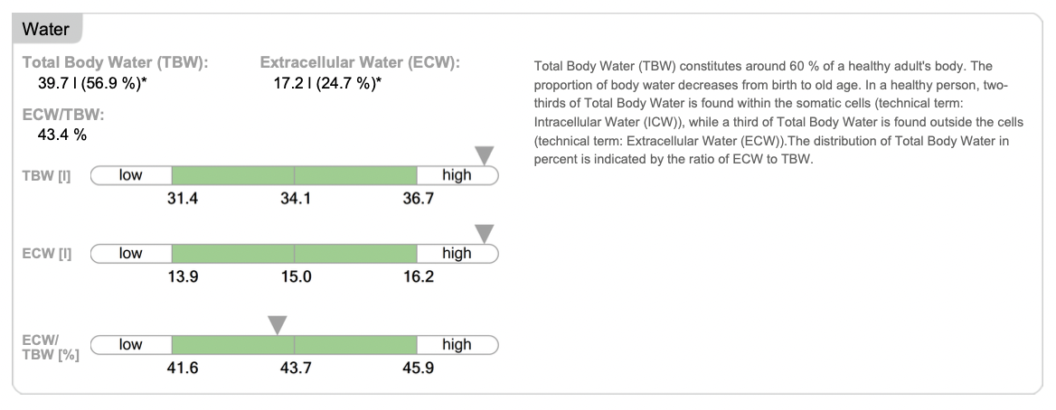 body water percentage