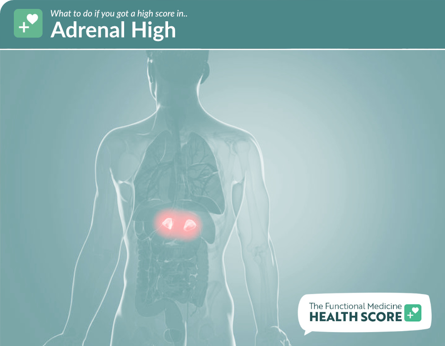 adrenal high quiz