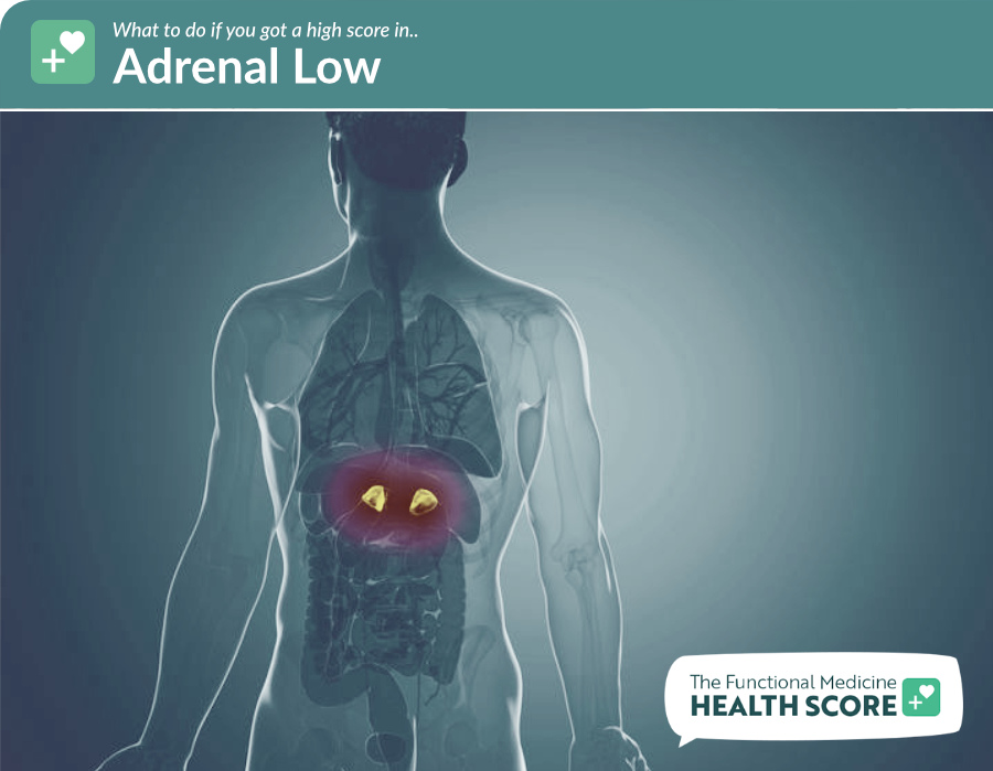adrenal low quiz