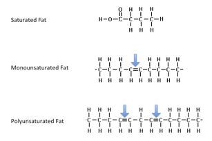 fats structure image