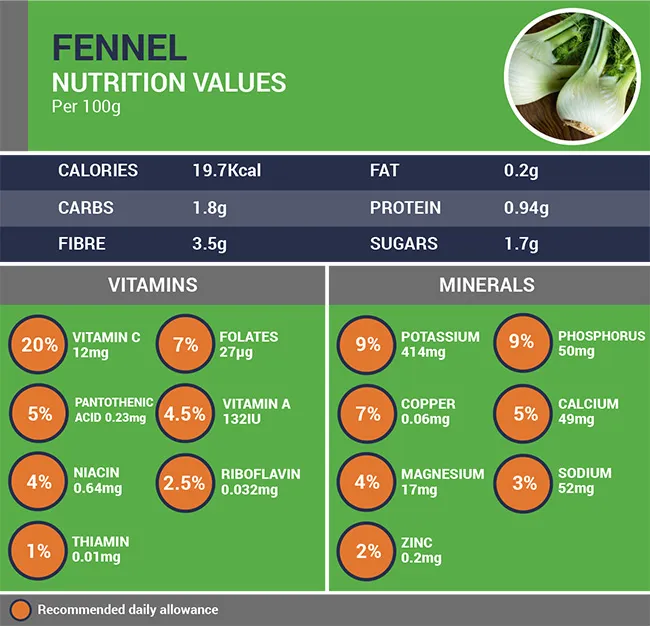 Fennel Nutrition Values