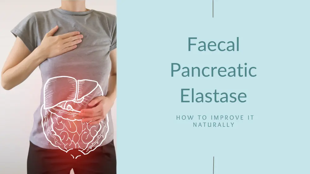 Pancreatic Elastase 2